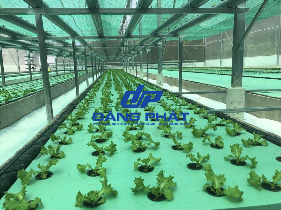 Xốp XPS Cách Nhiệt Cách Âm, Thủy Canh Giá Rẻ Độ Dày 10mm, 20mm, 30mm