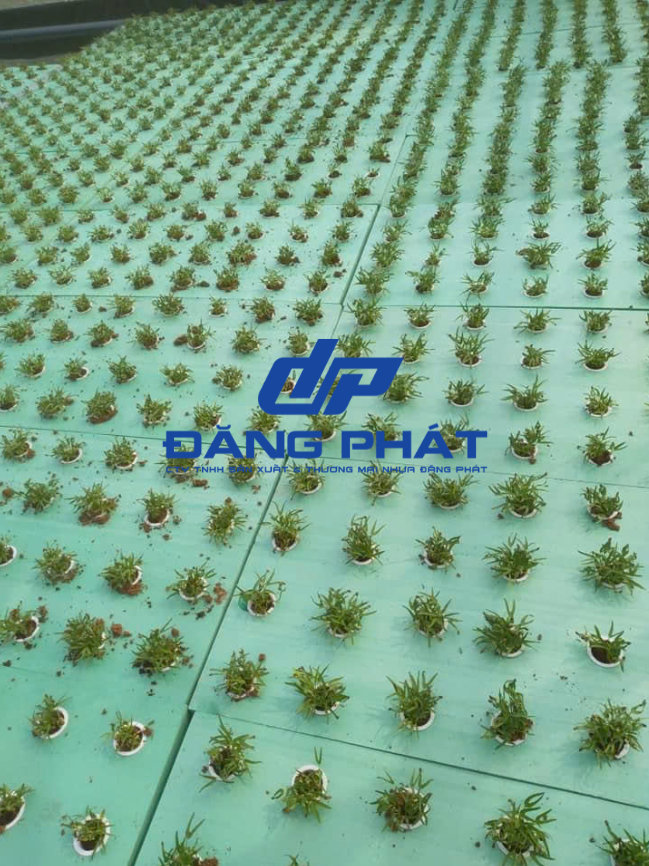 Xốp XPS Cách Nhiệt Cách Âm, Thủy Canh Giá Rẻ Độ Dày 10mm, 20mm, 30mm - Ảnh 3