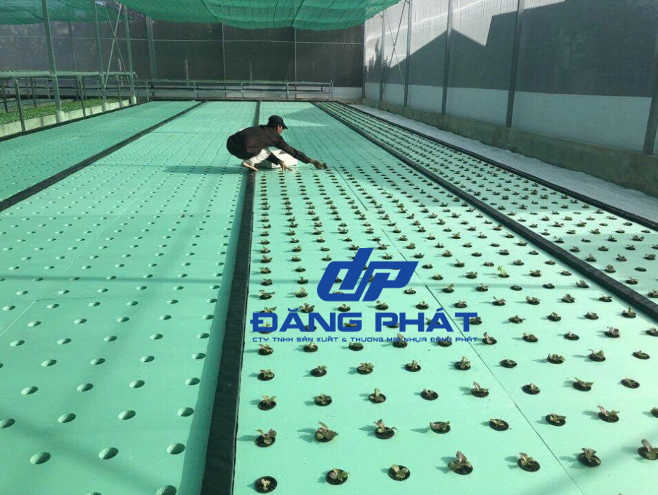 Xốp XPS Cách Nhiệt Cách Âm, Thủy Canh Giá Rẻ Độ Dày 10mm, 20mm, 30mm - Ảnh 2